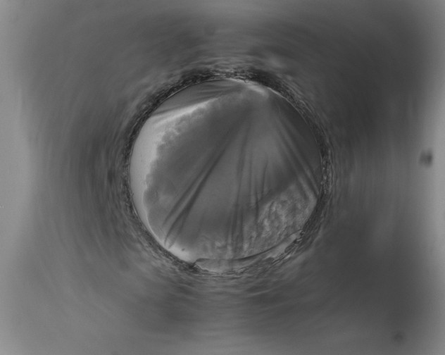 X0000113140913200909251300