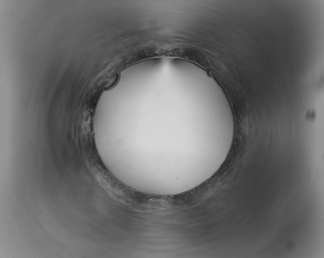 X0000113140914200909251300