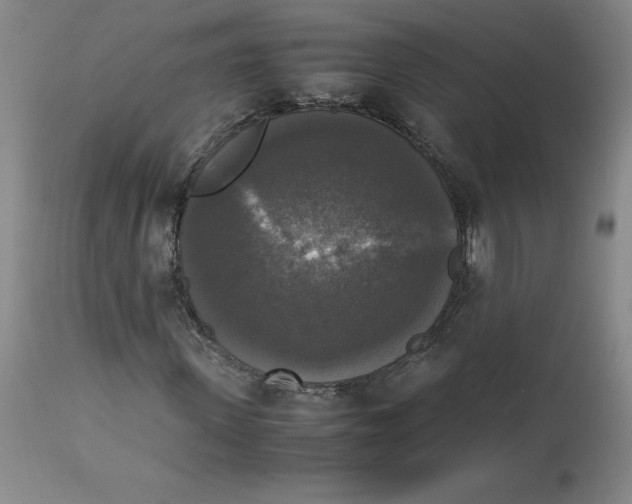 X0000113140915200909251300