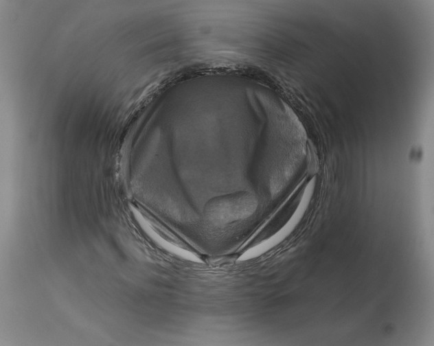 X0000113140916200909251300