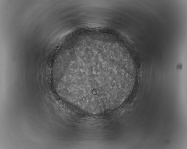 X0000113140917200909251300