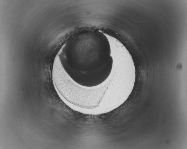 X0000113140918200909251300