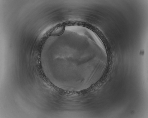 X0000113140919200909251300