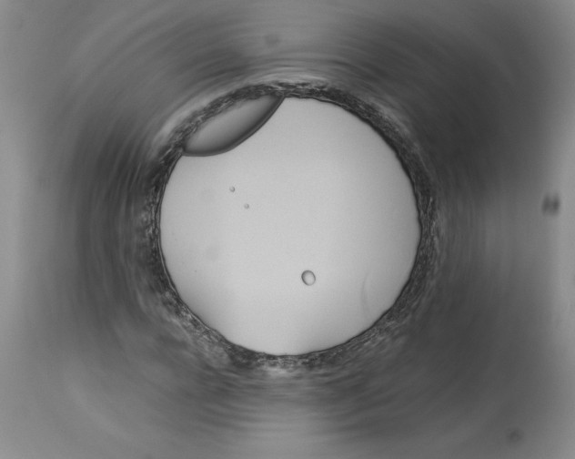 X0000113140920200909251301