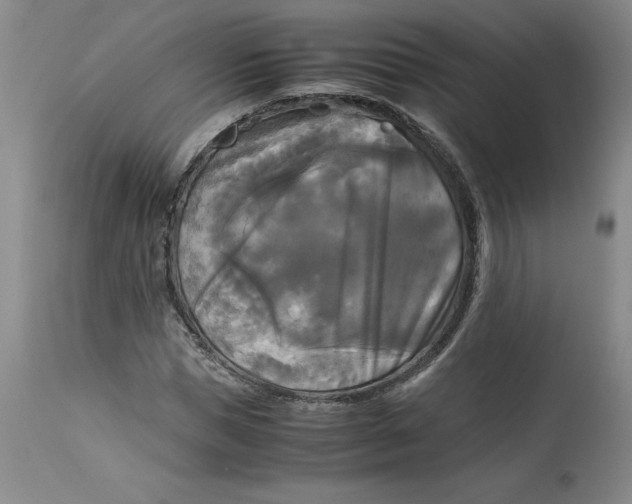 X0000113140921200909251301