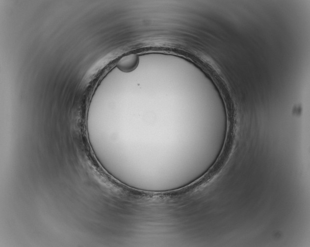 X0000113140922200909251301