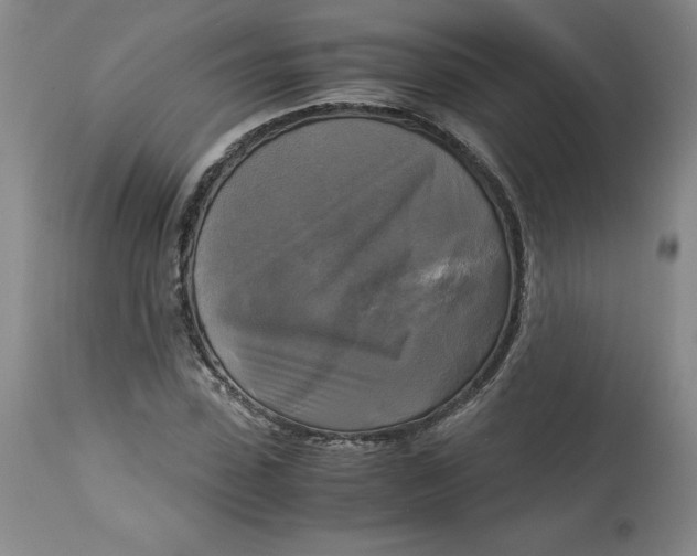 X0000113140923200909251301