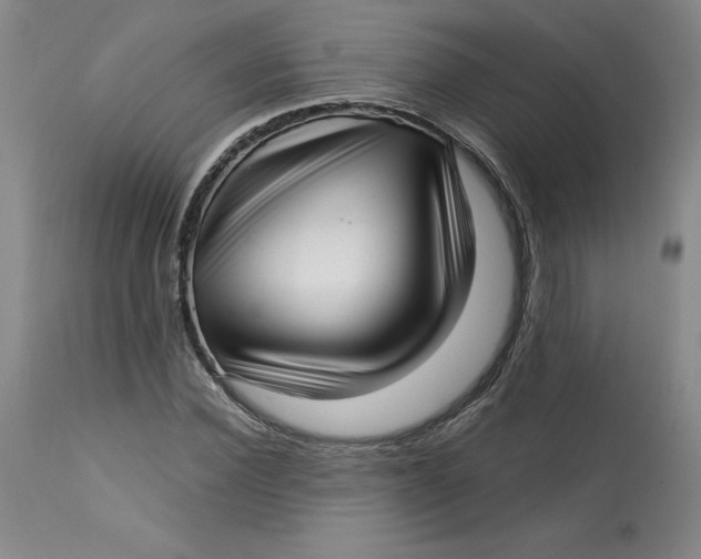 X0000113140924200909251301