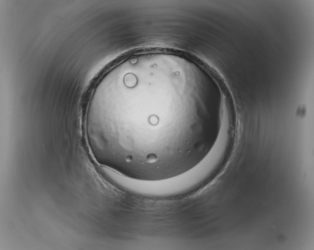 X0000113140925200909251301