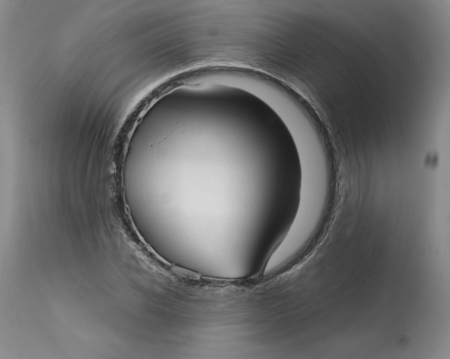 X0000113140926200909251301