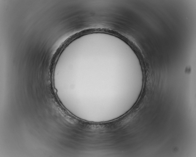 X0000113140927200909251301