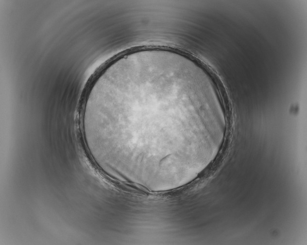 X0000113140928200909251301