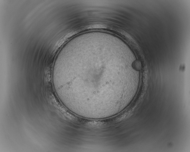 X0000113140929200909251301