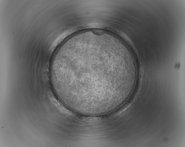 X0000113140930200909251301