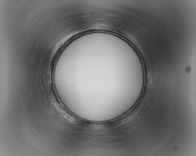 X0000113140931200909251301