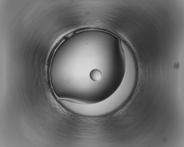 X0000113140932200909251301