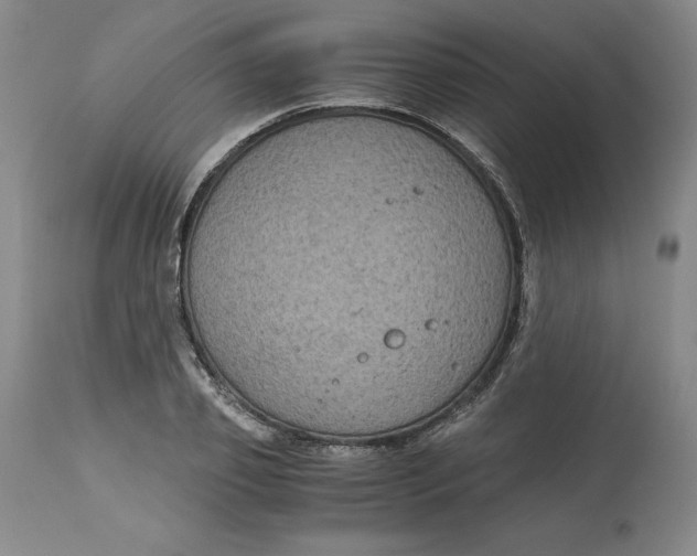 X0000113140933200909251301