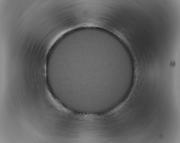 X0000113140934200909251301