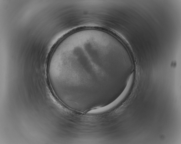 X0000113140935200909251301