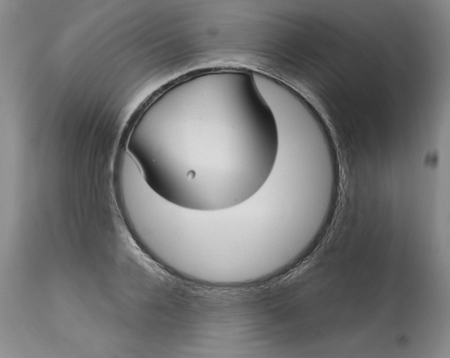 X0000113140936200909251301