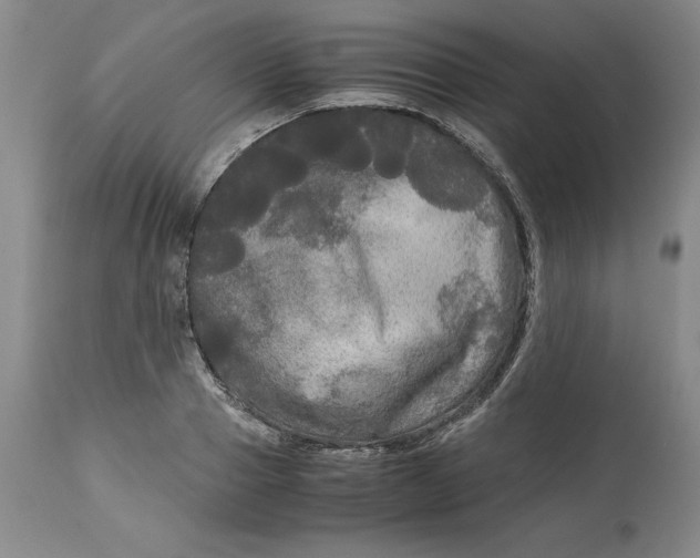 X0000113140937200909251301