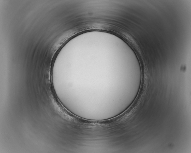 X0000113140938200909251301