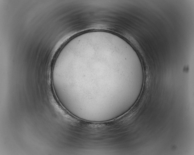 X0000113140939200909251301