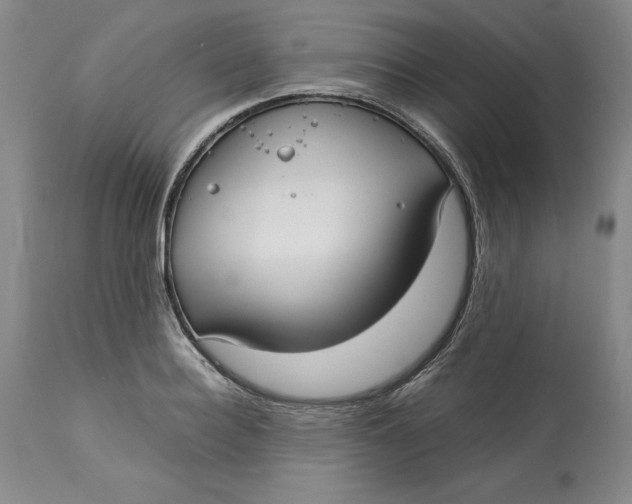 X0000113140940200909251301