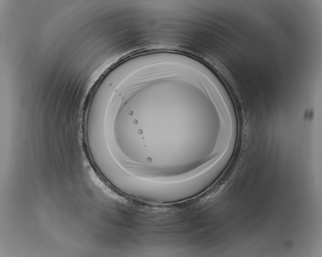 X0000113140941200909251301