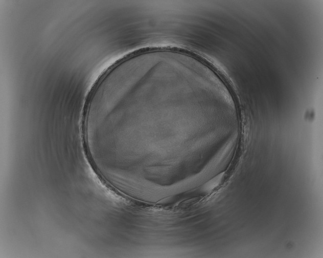 X0000113140943200909251301