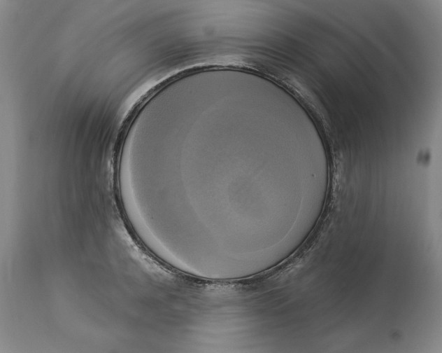 X0000113140944200909251301