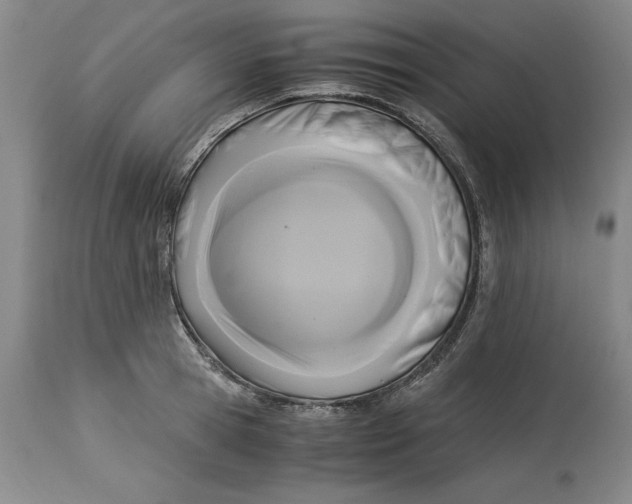 X0000113140945200909251301