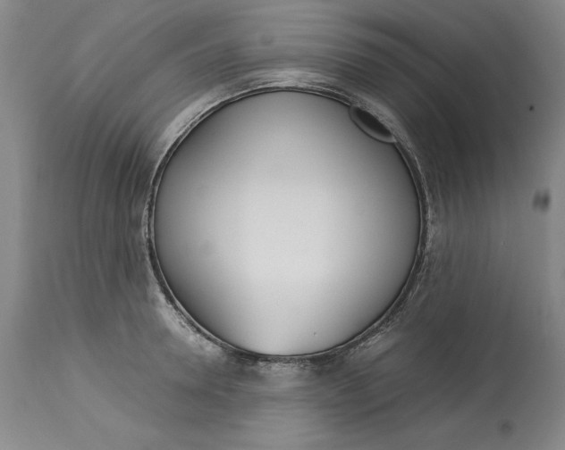 X0000113140946200909251301