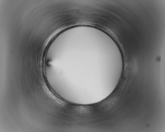 X0000113140947200909251301