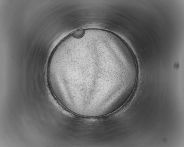 X0000113140949200909251301