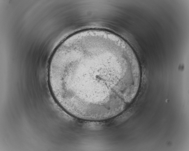 X0000113140950200909251301