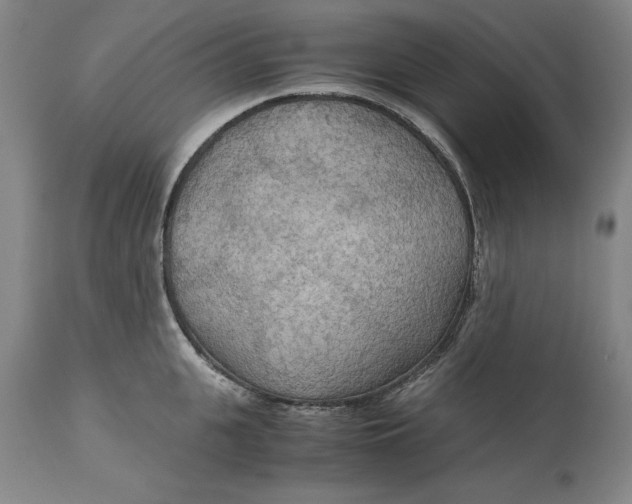 X0000113140951200909251301