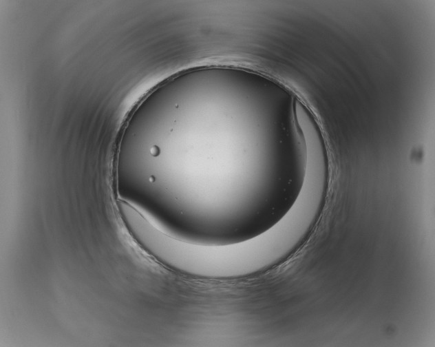 X0000113140952200909251301