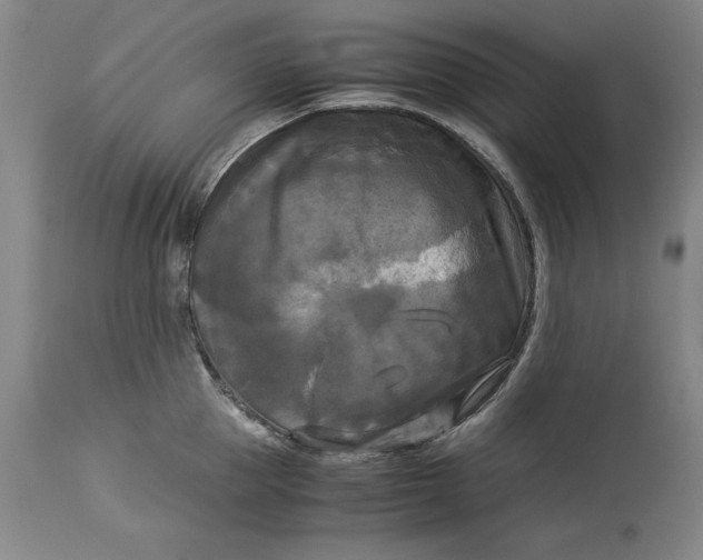 X0000113140953200909251301