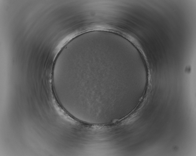 X0000113140954200909251301