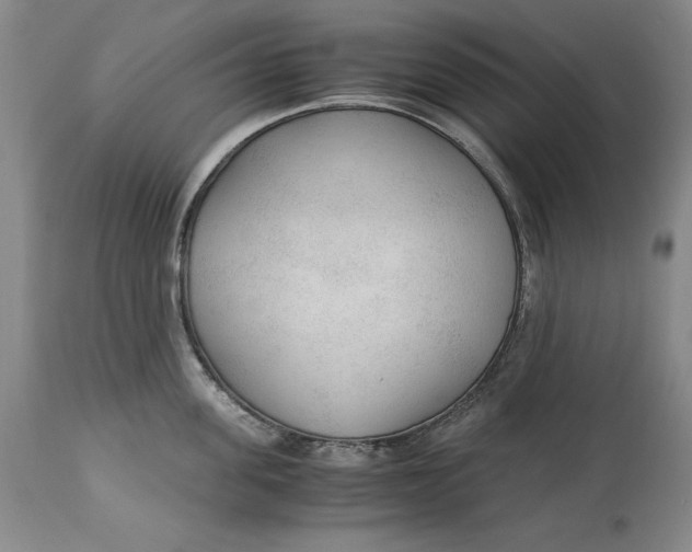 X0000113140955200909251301