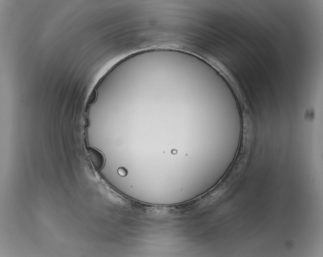 X0000113140956200909251301