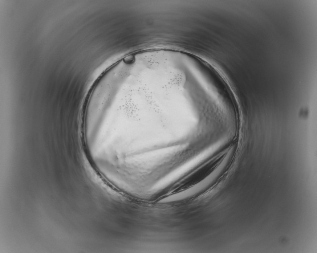 X0000113140957200909251301