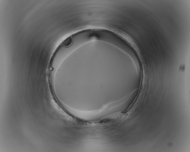 X0000113140958200909251301