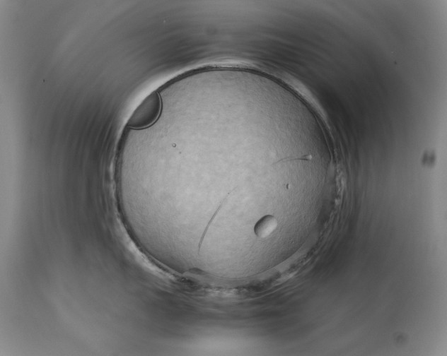 X0000113140959200909251301