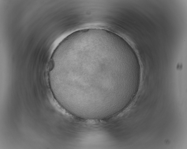 X0000113140960200909251301