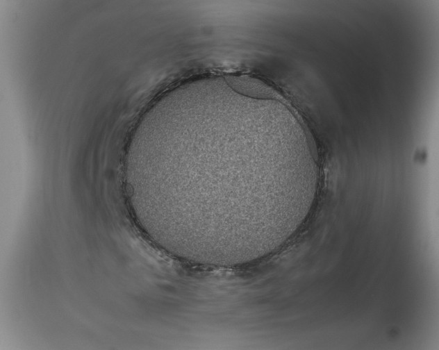 X0000113140961200909251300