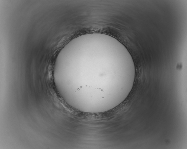 X0000113140962200909251300