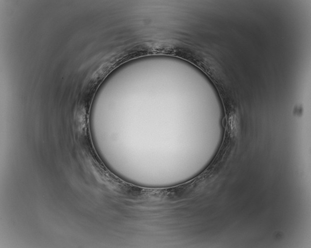 X0000113140963200909251300