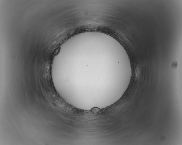 X0000113140964200909251300